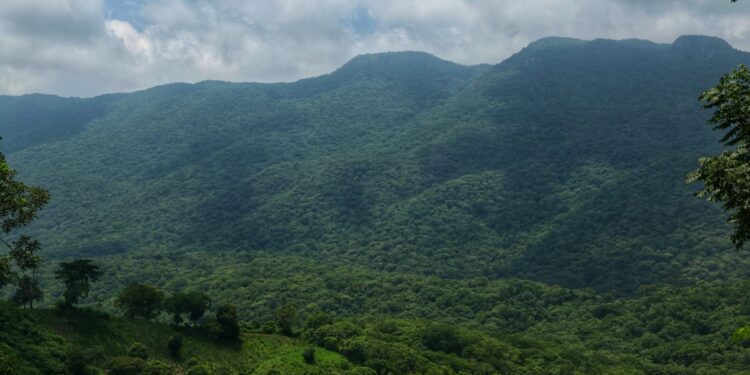 Actualiza SEDUMA programa para protección de Biósfera El Cielo