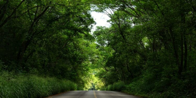 Actualiza SEDUMA programa para protección de Biósfera El Cielo