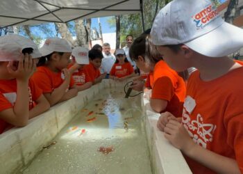 Concluye la UAT con éxito campamento infantil «Amor por la Ciencia» 2024