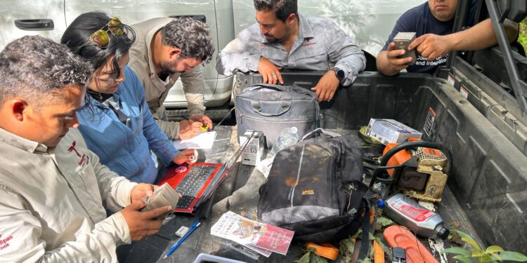 Arranca Comisión de Parques monitoreo del oso negro americano en Tamaulipas