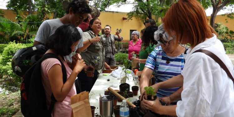 Realiza la UAT el segundo taller de jardines para polinizadores y aves