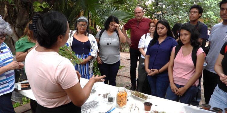 Realiza la UAT el segundo taller de jardines para polinizadores y aves