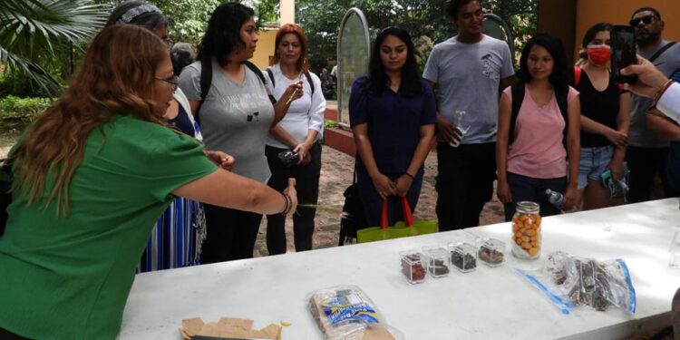 Realiza la UAT el segundo taller de jardines para polinizadores y aves