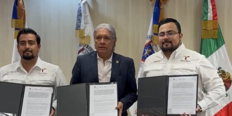 Unen esfuerzos en pro del oso negro americano: Comisión de Parques