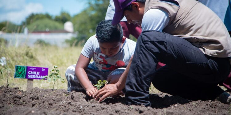 Habilita DIF Tamaulipas nuevos huertos escolares en 10 municipios del estado
