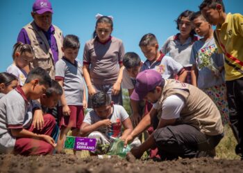 Habilita DIF Tamaulipas nuevos huertos escolares en 10 municipios del estado