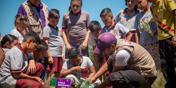 Habilita DIF Tamaulipas nuevos huertos escolares en 10 municipios del estado