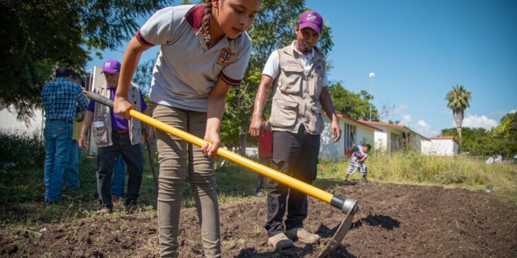 Habilita DIF Tamaulipas nuevos huertos escolares en 10 municipios del estado