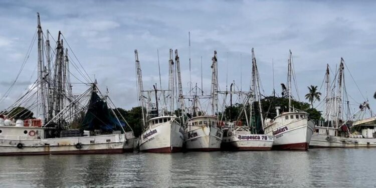 Es flota camaronera tamaulipeca, la más grande del Golfo de México