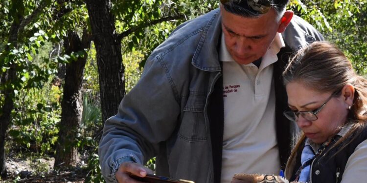 Invertirá Tamaulipas en la protección del hábitat de la mariposa monarca: CPBT