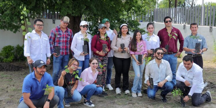 Participa Secretaría de Desarrollo Energético en reforestación del Hospital General