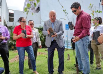 Participa Secretaría de Desarrollo Energético en reforestación del Hospital General