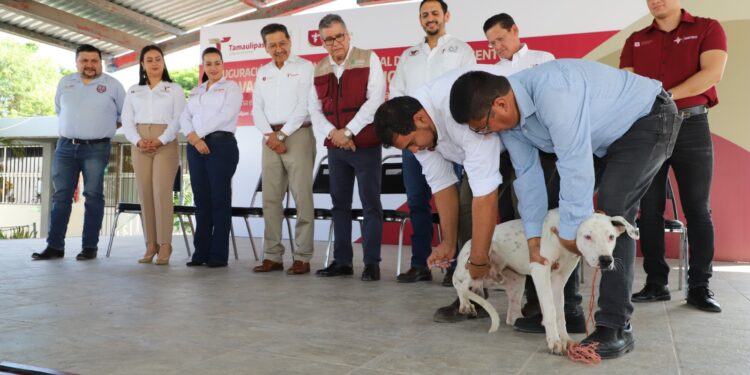 Pide SST vacunar perros y gatos en el marco de la Jornada de Vacunación Antirrábica