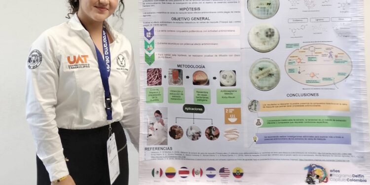 Alumna de la UAT estudia el potencial antimicrobiano de la vaina de mezquite