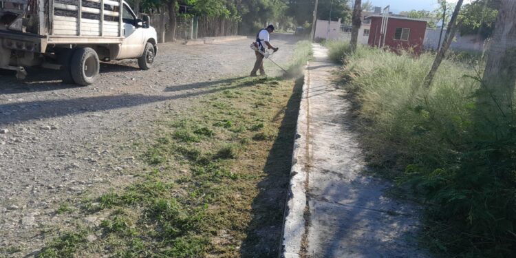 Servicios Públicos de Victoria realiza labores de mantenimiento en el Ej. Santa Librada