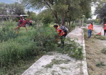 Servicios Públicos de Victoria realiza labores de mantenimiento en el Ej. Santa Librada
