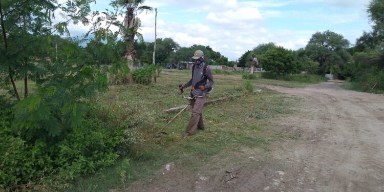 Servicios Públicos de Victoria realiza labores de mantenimiento en el Ej. Santa Librada
