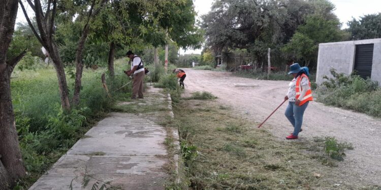Servicios Públicos de Victoria realiza labores de mantenimiento en el Ej. Santa Librada