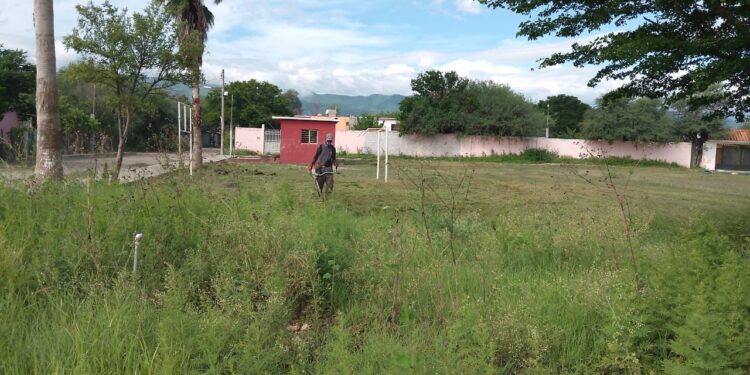 Servicios Públicos de Victoria realiza labores de mantenimiento en el Ej. Santa Librada