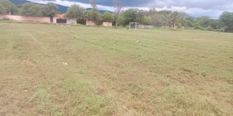 Servicios Públicos de Victoria realiza labores de mantenimiento en el Ej. Santa Librada