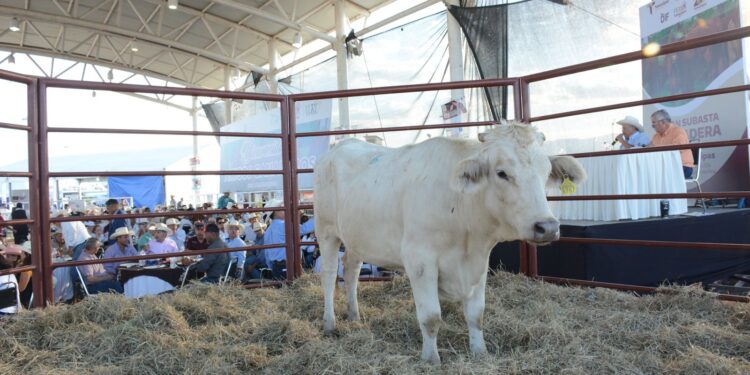 Reconocen ganaderos apoyo del gobernador Américo Villarreal