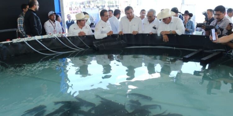 Reconocen ganaderos apoyo del gobernador Américo Villarreal