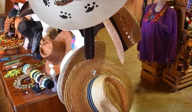 Anuncia Turismo segunda edición del Festival del Desierto en Tula