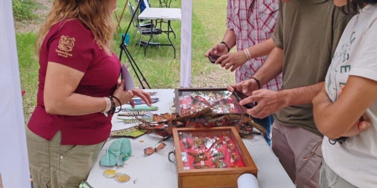 Invita Comisión de Parques al Festival de la Mariposa Monarca en Gómez Farías