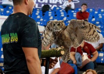 Promueven en alumnos de primaria respeto a la vida silvestre en Feria Tamaulipas 2024