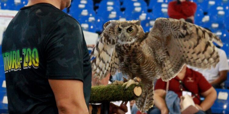 Promueven en alumnos de primaria respeto a la vida silvestre en Feria Tamaulipas 2024