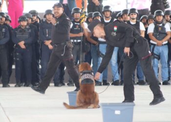 Realizan en la USJT exhibición de agrupamientos canino y montada de la SSPT