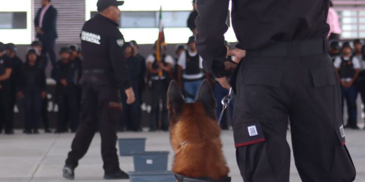 Realizan en la USJT exhibición de agrupamientos canino y montada de la SSPT