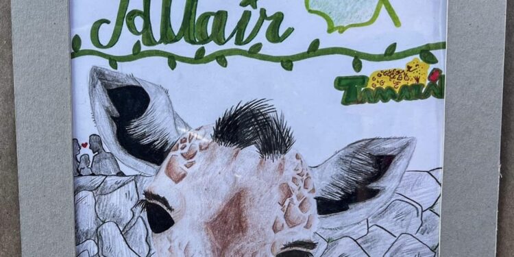 “Asani”, nombre ganador para el bebé jirafa del Zoológico Tamatán