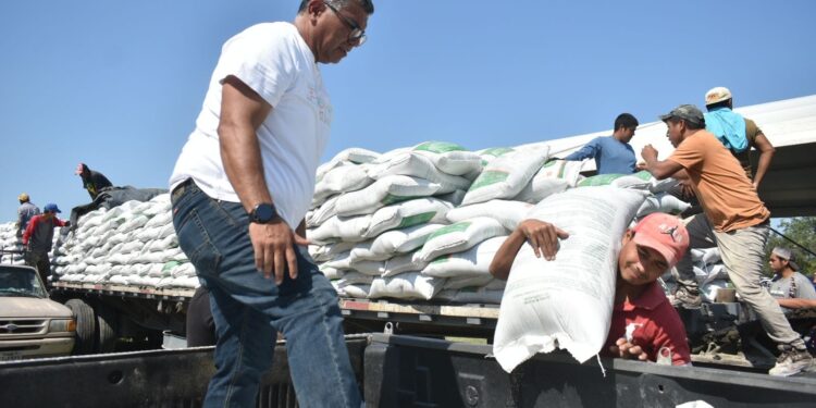 Entrega Gobierno de Tamaulipas 280 toneladas de fertilizante a productores citrícolas