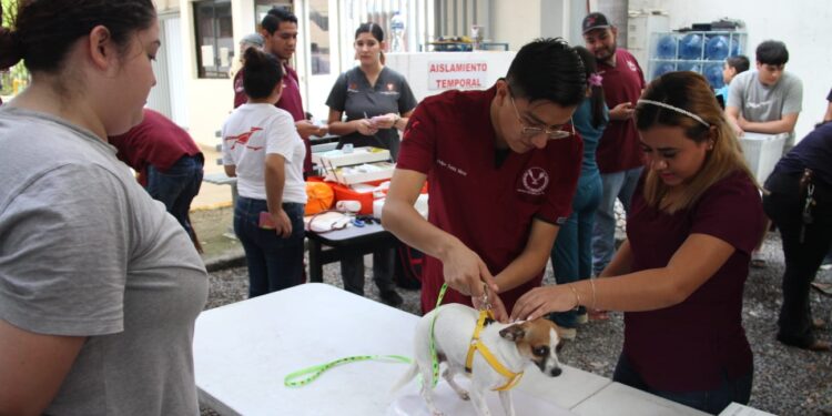 Realiza la UAT brigada comunitaria en el CBTIS 24 de Ciudad Victoria