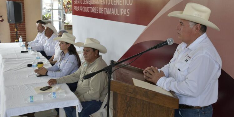 Lleva Gobierno del Estado Programa de Mejoramiento Genético al municipio de Aldama