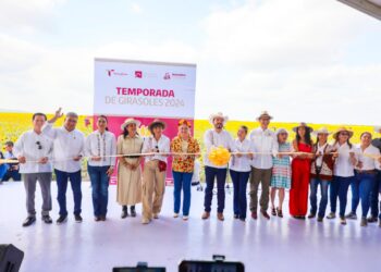 Respalda Gobierno de Tamaulipas promoción de campos de girasoles