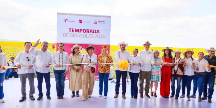 Respalda Gobierno de Tamaulipas promoción de campos de girasoles