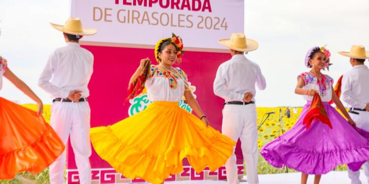 Respalda Gobierno de Tamaulipas promoción de campos de girasoles