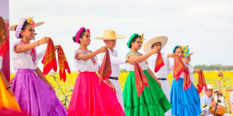 Respalda Gobierno de Tamaulipas promoción de campos de girasoles