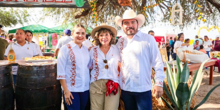 Respalda Gobierno de Tamaulipas promoción de campos de girasoles