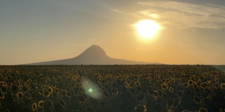 Invita Turismo a disfrutar el “Festival del Teqzcal” en González