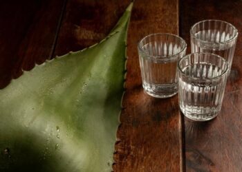 Vive este fin de semana el Festival del Tequila y el Mezcal en González: Sectur