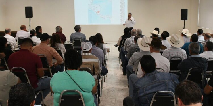 Tamaulipas se mantiene libre del gusano barrenador