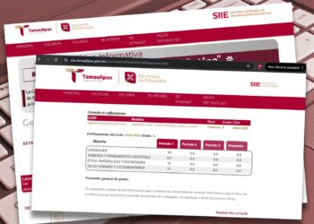 Ofrece SET consulta de calificaciones de educación básica en línea