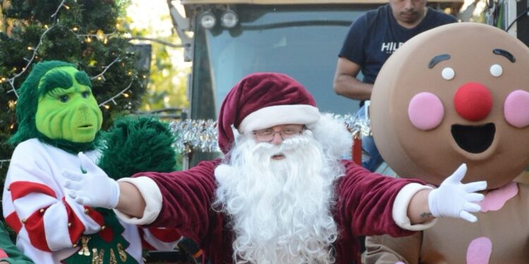 Encienden Américo y María monumental pino navideño