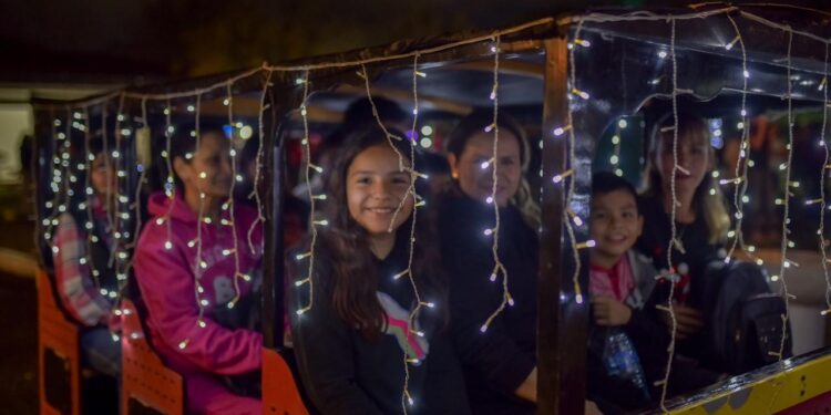 Ilumina pino navideño corazones de asistentes al Parque Tamatán