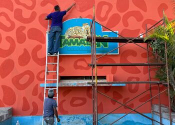 Transforma Comisión de Parques imagen del Zoológico Tamatán