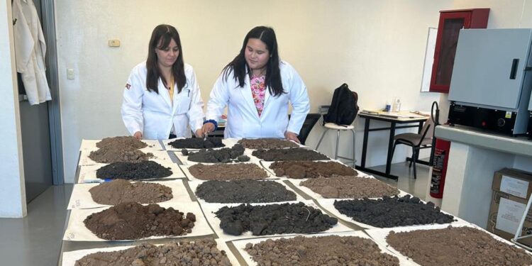 Analiza estudiante de la UAT la presencia de metales pesados en suelos de cultivo citrícola