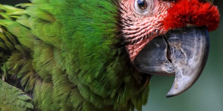 Trabaja Tamaulipas en seis programas de conservación